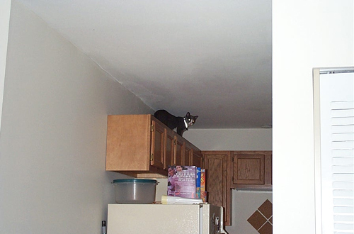 cupboards1