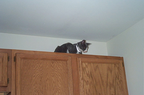 cupboards3