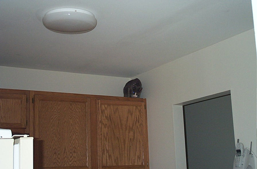 cupboards4
