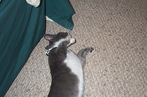 sprawl4
