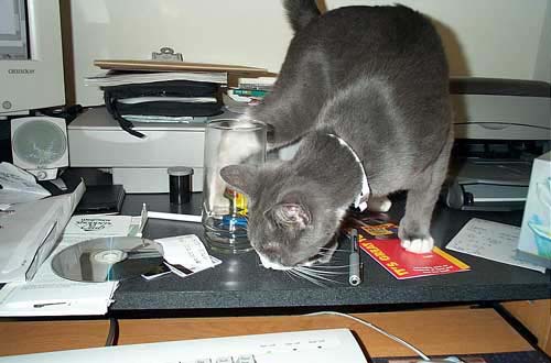 ondesk1