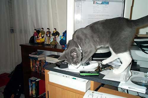 ondesk2