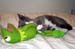 kermie1