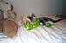kermie2