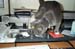 ondesk1